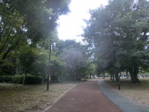 CIMG8156
