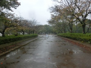CIMG8235