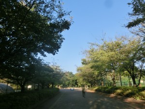 CIMG8329