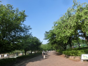 CIMG8410