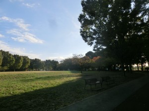 CIMG8447