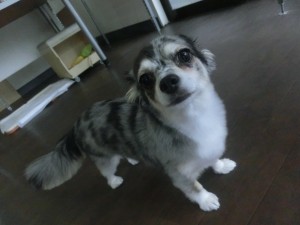 CIMG9434