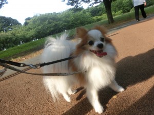 CIMG9980