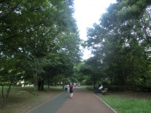 CIMG9981